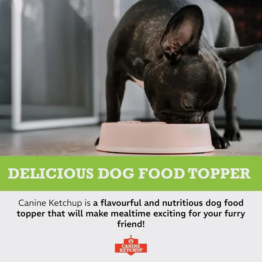 Canine Ketchup: Delicious dog food topper