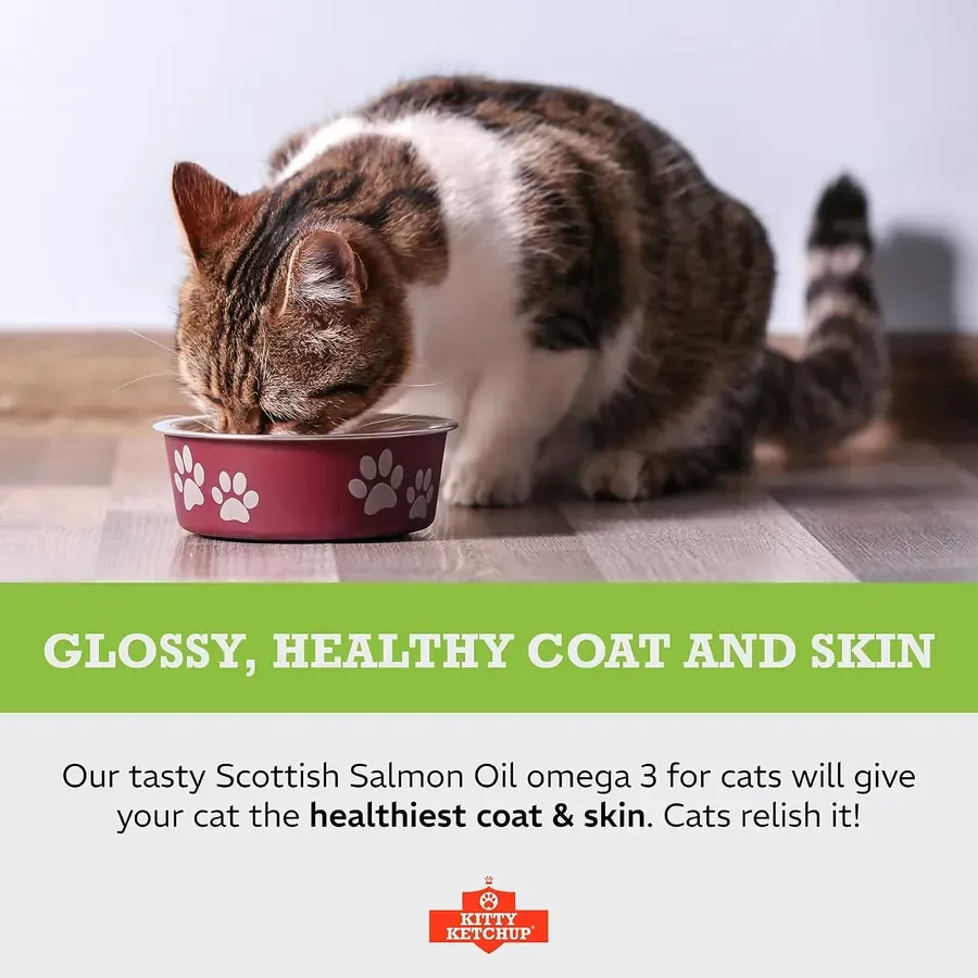 Kitty Ketchup: Glossy coat & skin