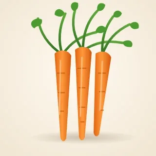 Illustration of carrots with their green tops.
