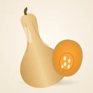 Illustration of a butternut squash.